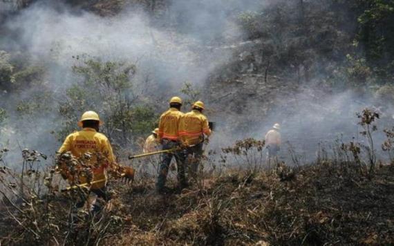 9 muertos en Oaxaca por incendio forestal