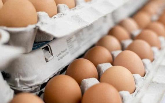 ¡Alerta! No laves los huevos antes de comerlos, es perjudicial para tu salud