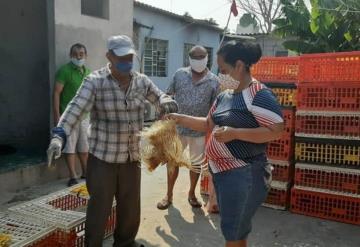 Reparte alcalde de Paraíso 40 mil pollos a familias afectadas por COVID-19