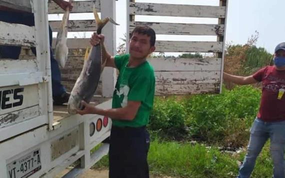 Llevan pescados y despensas a vendedores ambulantes de Paraíso