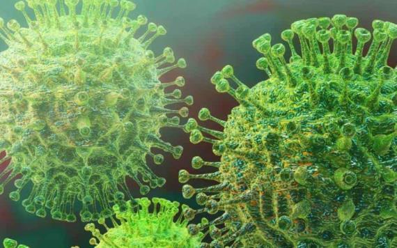 Coronavirus podría volverse endémico como el SIDA y no desaparecer nunca: OMS