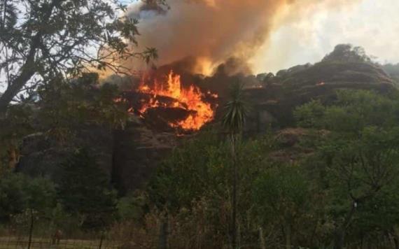 Intenta hacer malabares con fuego para TikTok y ocasiona incendio forestal