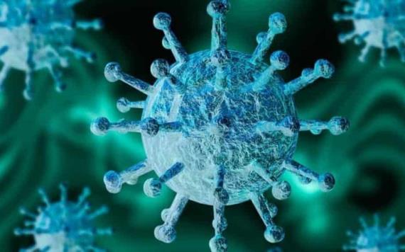 Actualización diaria de casos de coronavirus en México y Tabasco