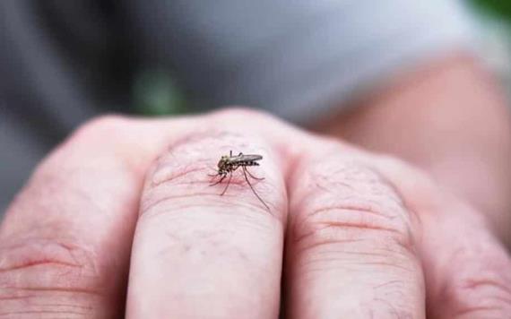 Por estas razones los mosquitos pican más a algunas personas