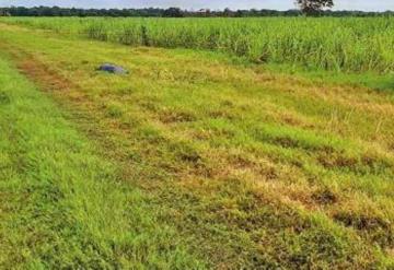 Ejecutan a sujeto y lo abandonan en paraje solitario de Cunduacán