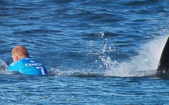 Vídeo: Un Tiburón blanco asecha Surfistas