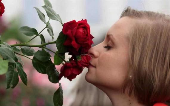 Olor a rosas, un detector de los primeros signos de la demencia