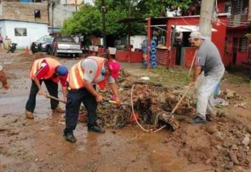 Puentes y arroyos azolvados en Teapa