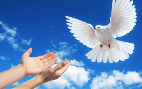 Día Internacional de la Paz ¿Por qué se celebra el 21 de septiembre?