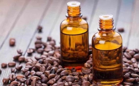 Conoce los increíbles beneficios del aceite de café