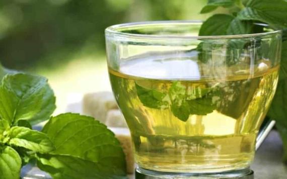Estudio revela que té verde desarrolla la inteligencia