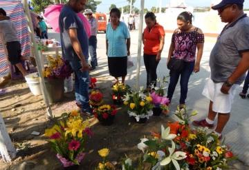 Las ventas están bajas por cierre de panteones: Floristas