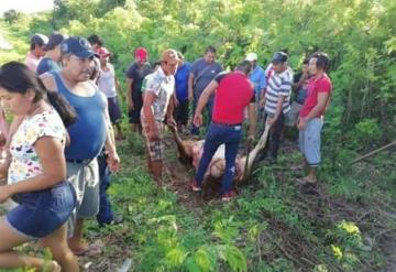 Rapiñan ganado de tráiler volcado en vía federal