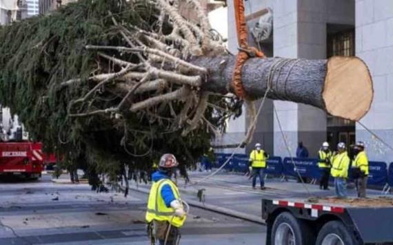 Llega árbol de Navidad del Rockefeller Center