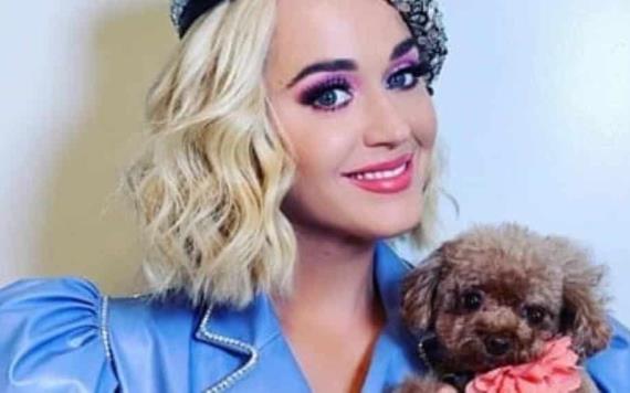 Katy Perry ha decidido hacerse vegana y también a su perrito