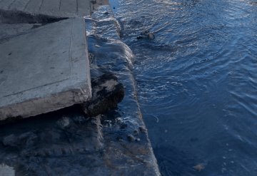 Cansados de vivir con aguas negras, vecinos bloquean calle para que CEAS limpie la red de drenaje