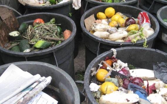 17% de toda la comida producida en 2019 terminó en la basura: ONU