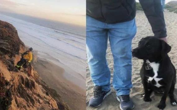 Vídeo: Rescatan a perrito de un acantilado