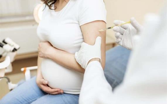 Vacunas de Pfizer y Moderna son efectivas en embarazadas: Revela estudio