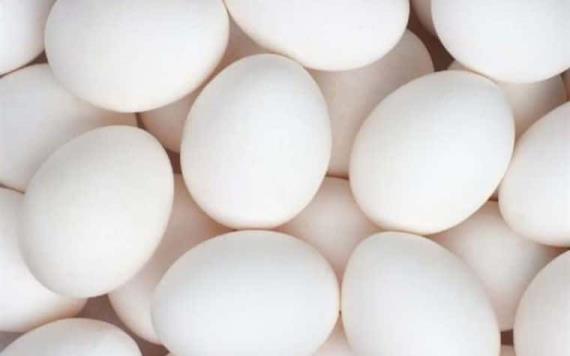 De esta forma debes almacenar los huevos para que se mantengan frescos