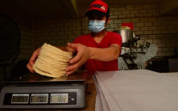 Kilo de tortilla llega a $20