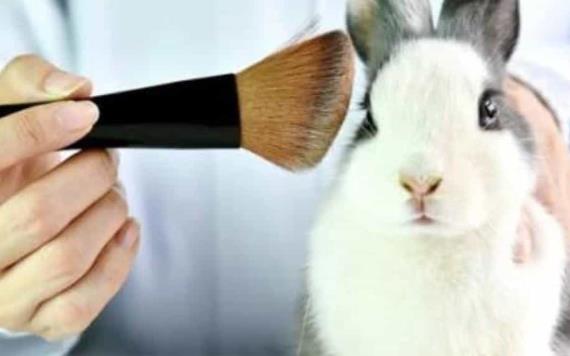 México prohíbe a las empresas de cosméticos hacer pruebas en animales