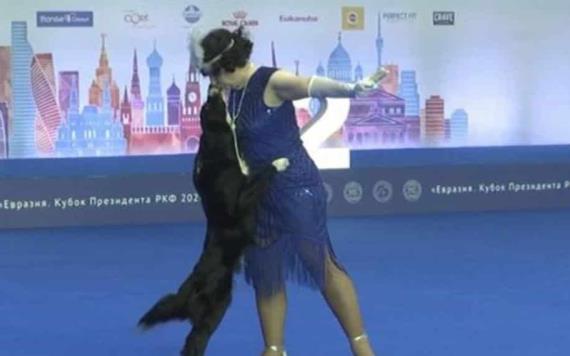 Vídeo: Concurso de baile con perros se vuelve viral en Rusia