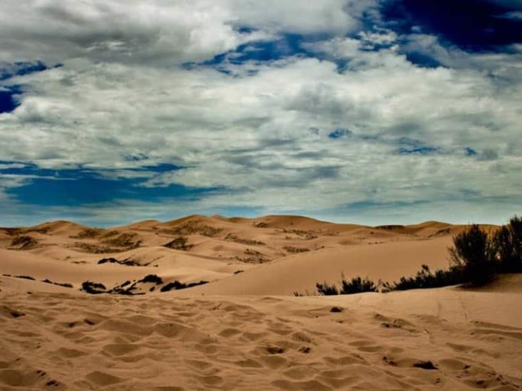 Reconocen A Las Dunas De Samalayuca Chihuahua Como Mejor Destino Turístico Ecológico 3027