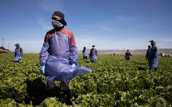 Así puedes tramitar tu visa H-2A de trabajo temporal agrícola