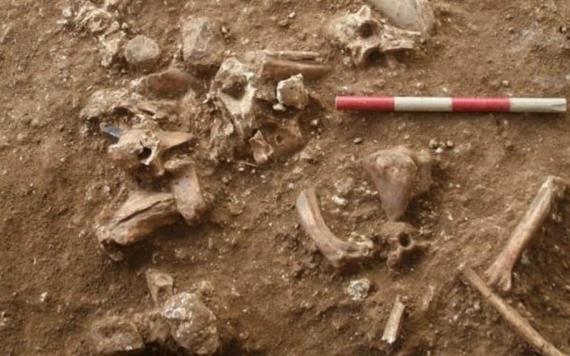 Descubren nueva especie de hombre prehistórico que data de hace más de 100 mil años