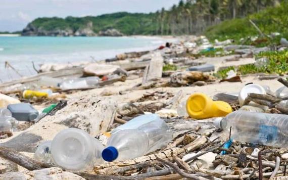 Contaminación con plásticos puede causar daños irreversibles