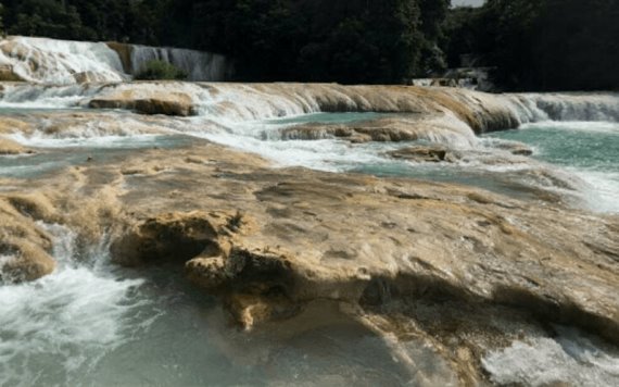 Encuentran cuerpo de una turista de Portugal que cayó en las cascadas de Agua Azul en Chiapas