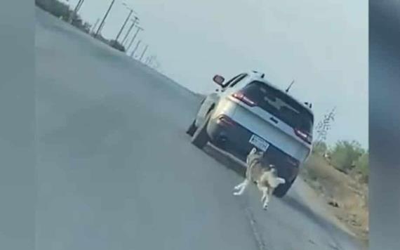 Detienen a hombre que abandonó a su perro en El Paso