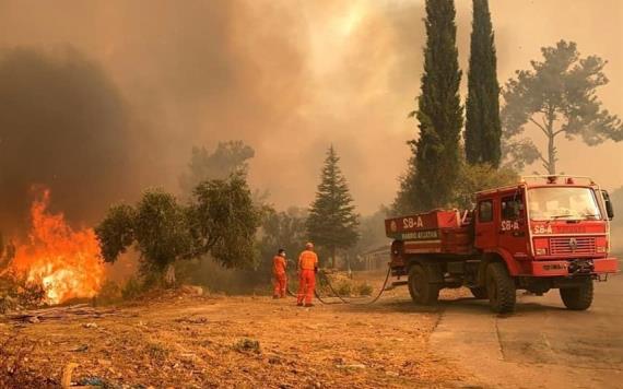 Turquía sufre decenas de incendios forestales