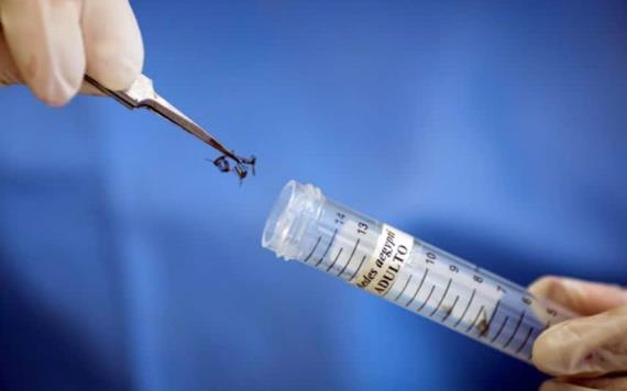 Reportan resultado positivo de vacuna contra chikungunya