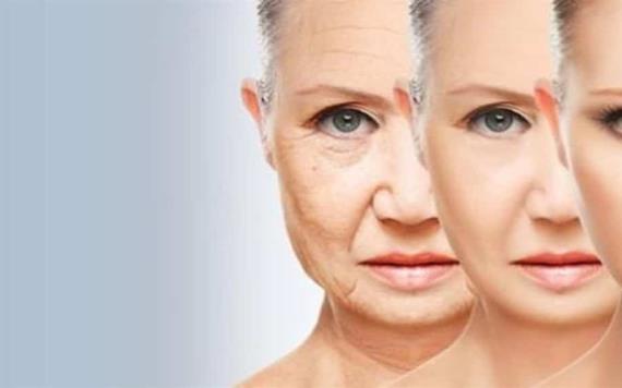 La autofagia como secreto para el buen envejecimiento