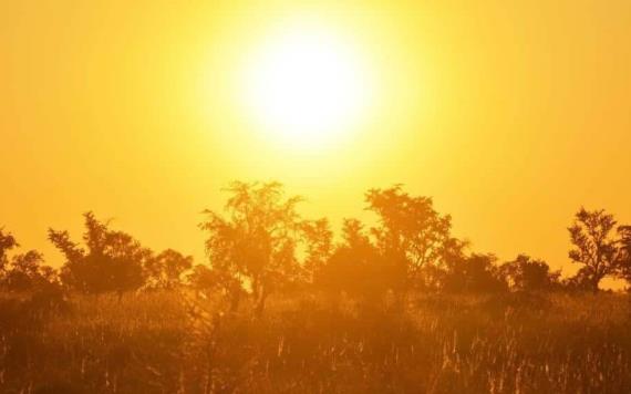 Mexicali vive récord de calor de más de 50 grados