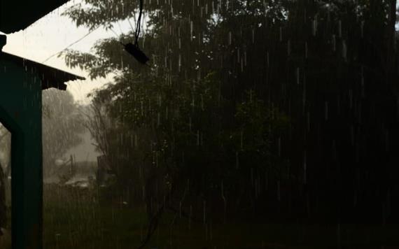 Clima: Lloviznas dispersas, con chubascos aislados, en Sierra, Jonuta, Macuspana y Huimanguillo