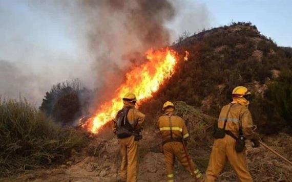 En medio de la ola de calor que se presenta en España, se hacen los primeros reportes de incendios forestales