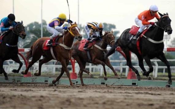 El dueño de un caballo y el jockey fueron imputados tras suministrar sustancias prohibidas al animal para ganar una carrera