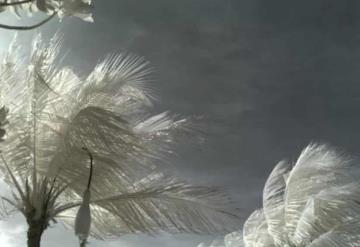 La tormenta tropical Grace continúa desplazándose en tierra sobre la Península de Yucatán