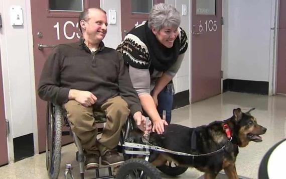 La conmovedora historia de un hombre que adoptó a un perro en silla de ruedas