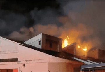 Mueren más de 20 gatos al incendiarse refugio de animales