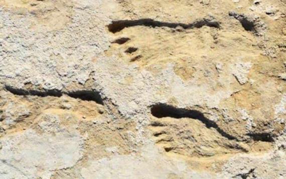 ¡Hace 23.000 años! Las huellas humanas más antiguas encontradas en los EE. UU