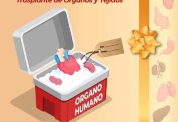 Hoy conmemoramos el Día Nacional de la Donación y Trasplante de Órganos y Tejidos