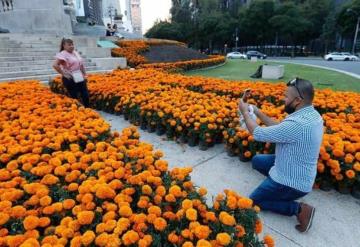 CDMX se viste de flores de cempasúchil