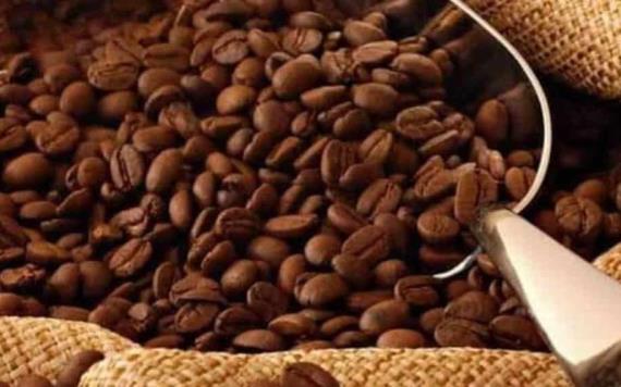 Producción de café en el Estado de Chiapas debe venderse a precio justo: Productores