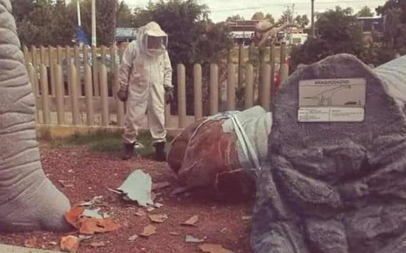 Evacúan dinoparque en Pachuca tras ataque de abejas
