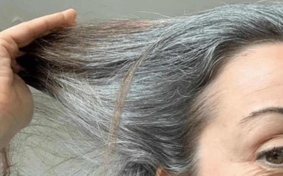 ¿Cómo usar la semilla de aguacate para teñir el cabello de manera natural?