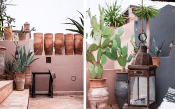 3 ideas coloridas para decorar tu terraza pequeña con cactus